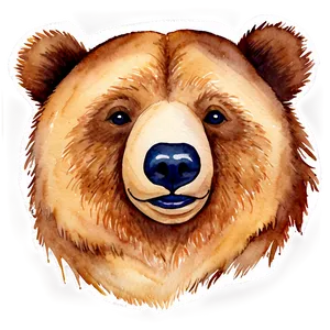 Watercolor Bear Face PNG 99 PNG