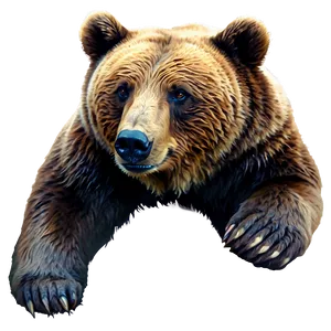 Watercolor Bear PNG Bgq