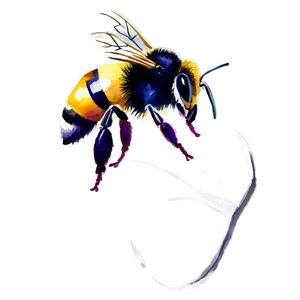 Watercolor Bee Png Etl64 PNG image