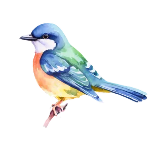 Watercolor Bird Illustration PNG 05032024