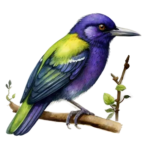 Watercolor Bird Illustration PNG Wxv