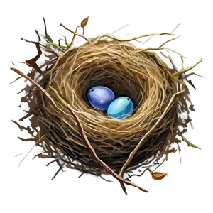 Watercolor Bird Nest Png 06212024 PNG image