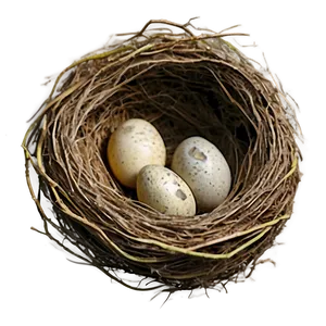 Watercolor Bird Nest Png Qde PNG image