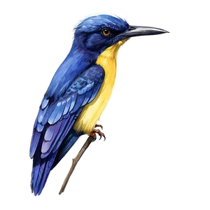 Watercolor Bird Species PNG 05032024