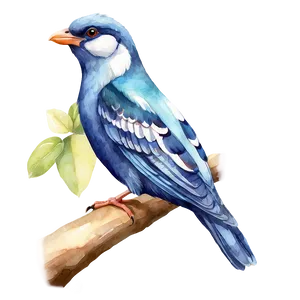 Watercolor Bird Species PNG Vqm