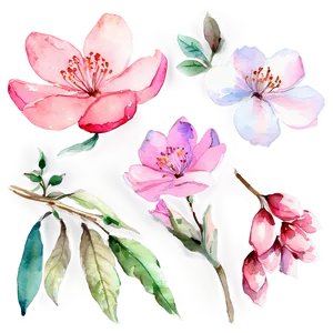 Watercolor Blossoms Clipart PNG 71 PNG