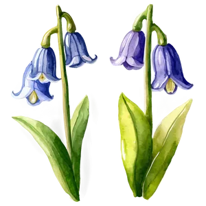 Watercolor Bluebell Flowers PNG Amt65