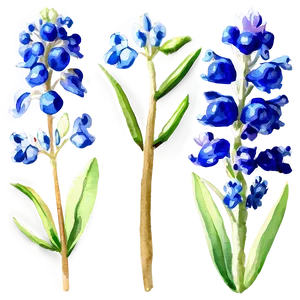 Watercolor Bluebonnet Field Png 44 PNG image