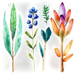 Watercolor Botanicals Clipart Png Pmb13 PNG image