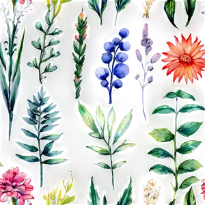 Watercolor Botanicals Clipart Png Xqw45 PNG image