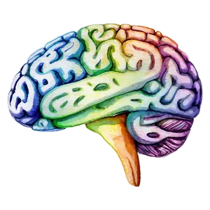 Watercolor Brain Art Png Gfr PNG image