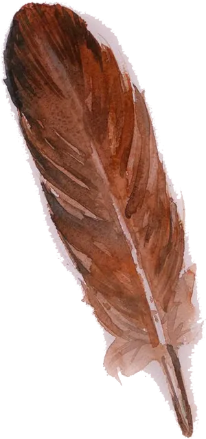 Watercolor Brown Feather Artwork PNG image