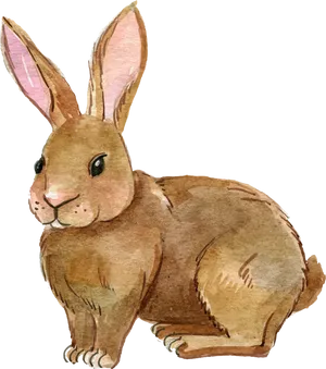 Watercolor Brown Rabbit Illustration PNG