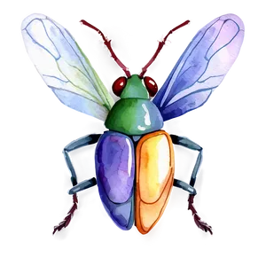 Watercolor Bug PNG Sbm PNG
