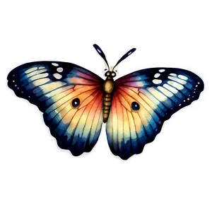 Watercolor Butterfly Sticker Png Wcy23 PNG image