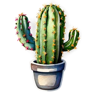 Watercolor Cactus Png Fdk2 PNG image