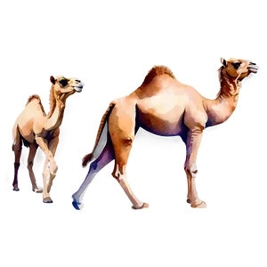 Watercolor Camel PNG 05212024
