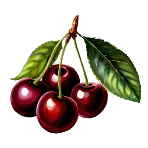 Watercolor Cherries Png 26 PNG image