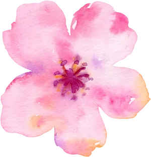 Watercolor_ Cherry_ Blossom_ Artwork PNG image