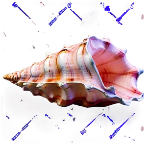 Watercolor Conch Shell PNG 33