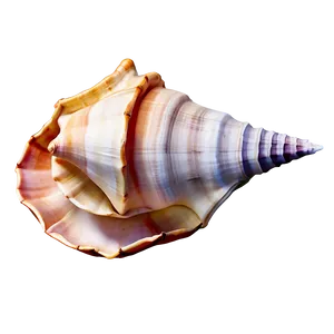 Watercolor Conch Shell PNG Gxr