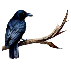 Watercolor Crow PNG 24 PNG