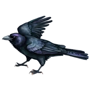 Watercolor Crow PNG Wlm PNG