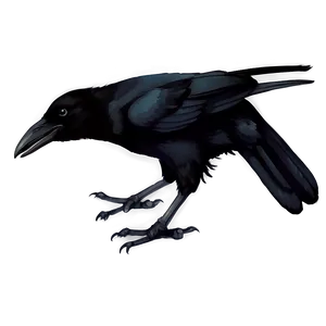 Watercolor Crow PNG Xnw40 PNG