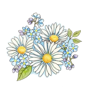 Watercolor Daisiesand Forget Me Nots PNG image