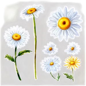 Watercolor Daisy Elements PNG Fdm