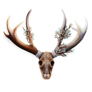 Watercolor Deer Antler PNG 86