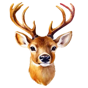 Watercolor Deer Head Painting PNG Tbd7 PNG