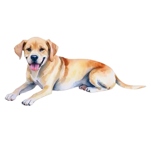 Watercolor Dogs PNG 05242024