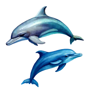 Watercolor Dolphin Png Ysd17 PNG image