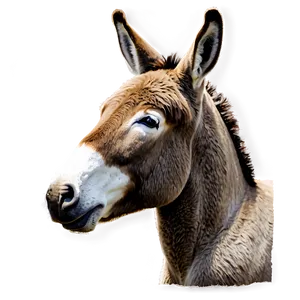 Watercolor Donkey PNG 05232024