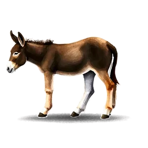 Watercolor Donkey PNG 97