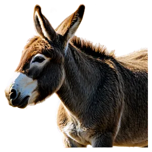 Watercolor Donkey PNG Iii