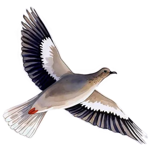 Watercolor Dove PNG 63 PNG