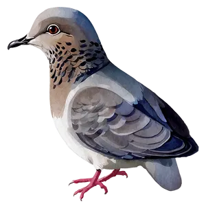 Watercolor Dove PNG Cpi64 PNG