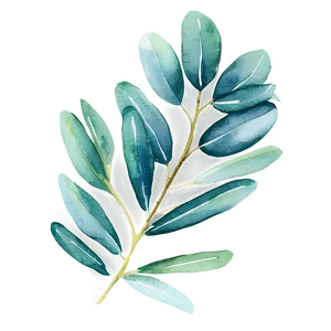 Watercolor Eucalyptus Leaves Png 05242024 PNG image