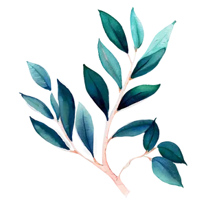 Watercolor Eucalyptus Leaves Png 33 PNG image