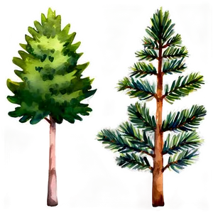 Watercolor Evergreen Tree PNG 86