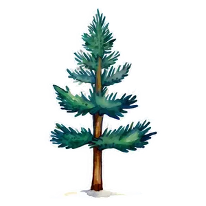 Watercolor Evergreen Tree PNG Iwo37 PNG