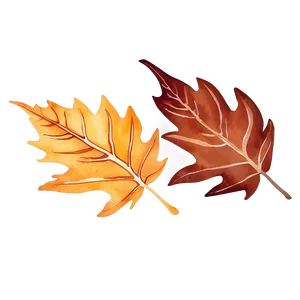 Watercolor Fall Leaves PNG 05042024