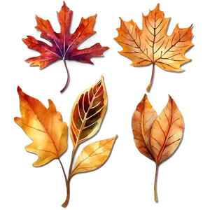 Watercolor Fall Leaves PNG Opa77