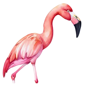 Watercolor Flamingo Artwork Png Jgh PNG image