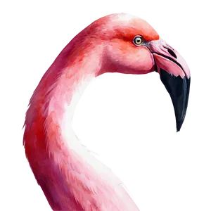Watercolor Flamingo Artwork Png Scn11 PNG image