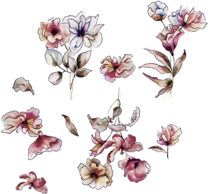 Watercolor_ Floral_ Collection_ Black_ Background PNG image