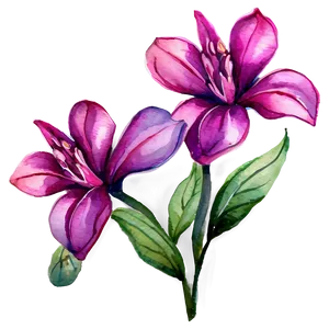Watercolor Floral Fantasy PNG Ejl21 PNG
