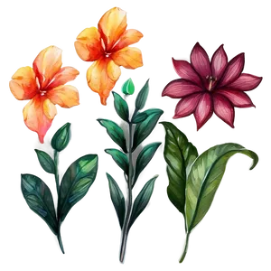 Watercolor Floral Symphony PNG 06272024 PNG